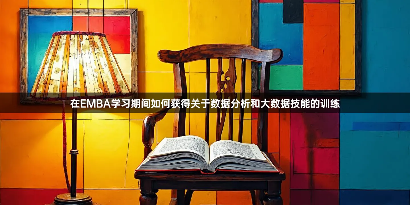 在EMBA学习期间如何获得关于数据分析和大数据技能的训练