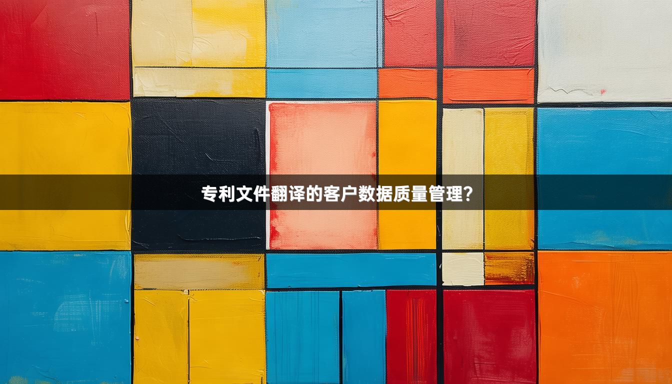 专利文件翻译的客户数据质量管理？