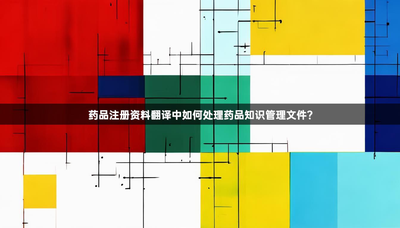 药品注册资料翻译中如何处理药品知识管理文件？