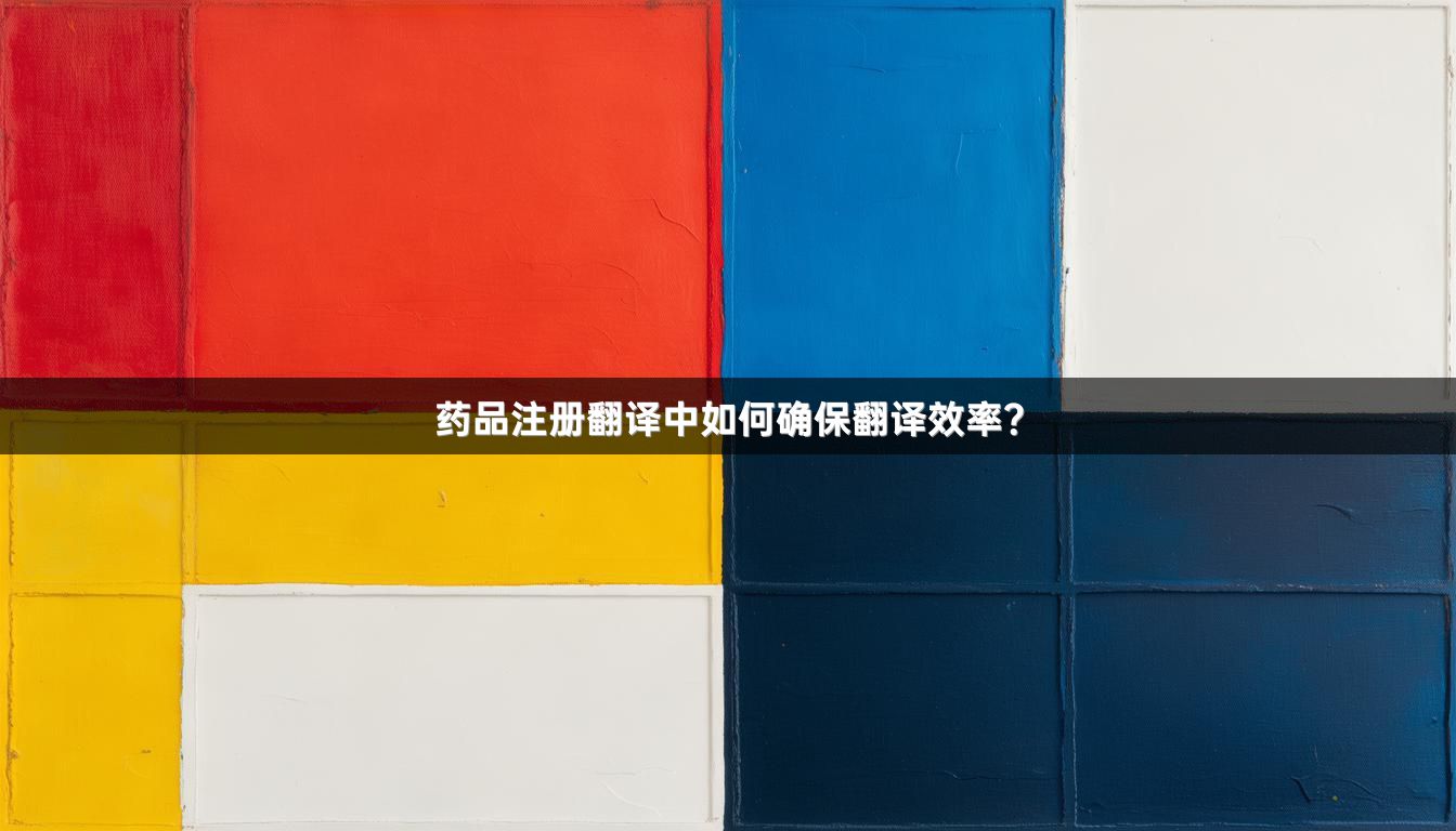 药品注册翻译中如何确保翻译效率？