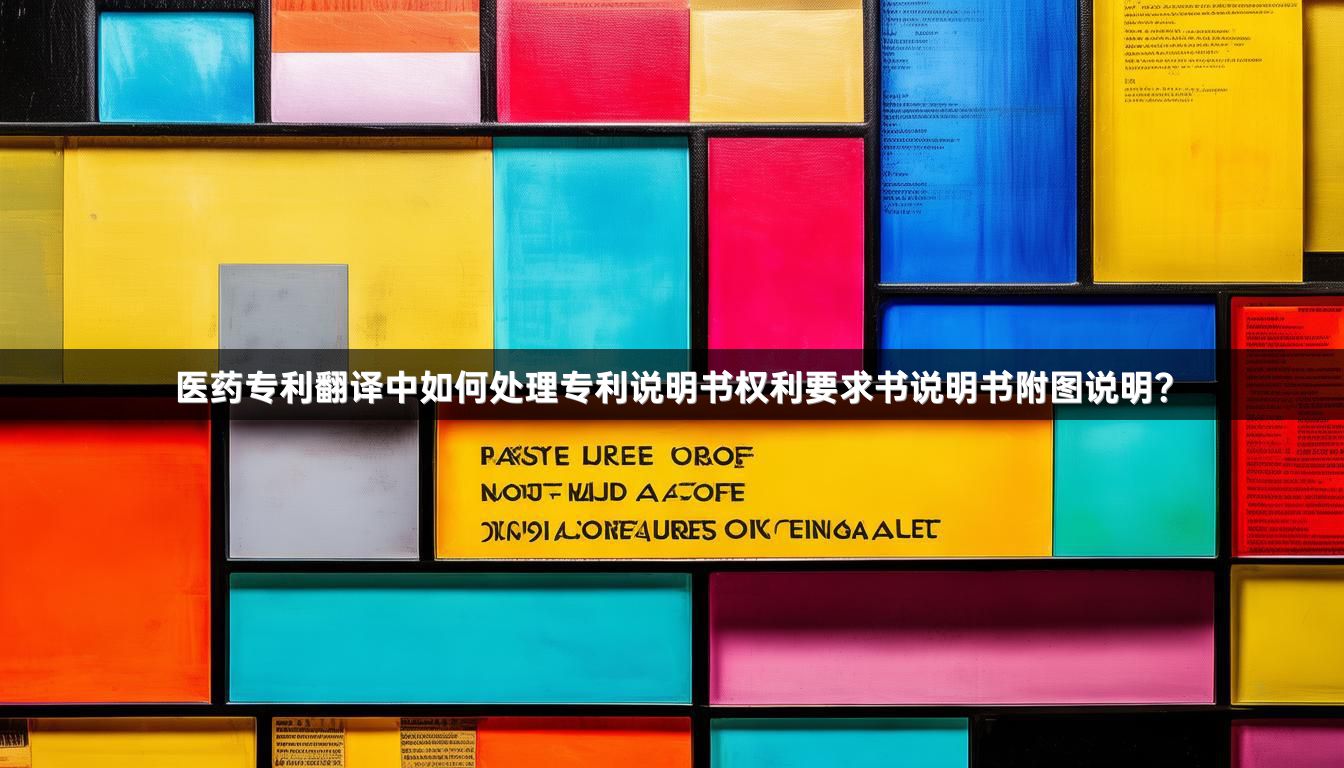 医药专利翻译中如何处理专利说明书权利要求书说明书附图说明？