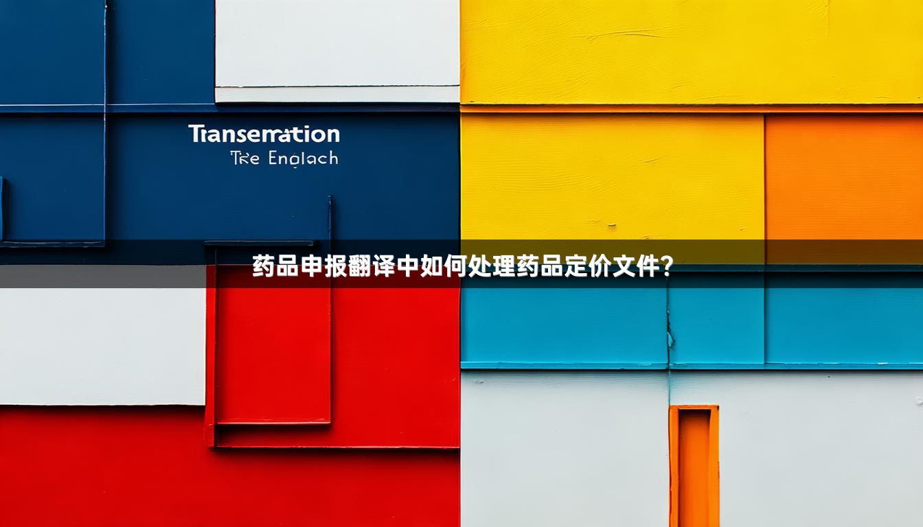 药品申报翻译中如何处理药品定价文件？