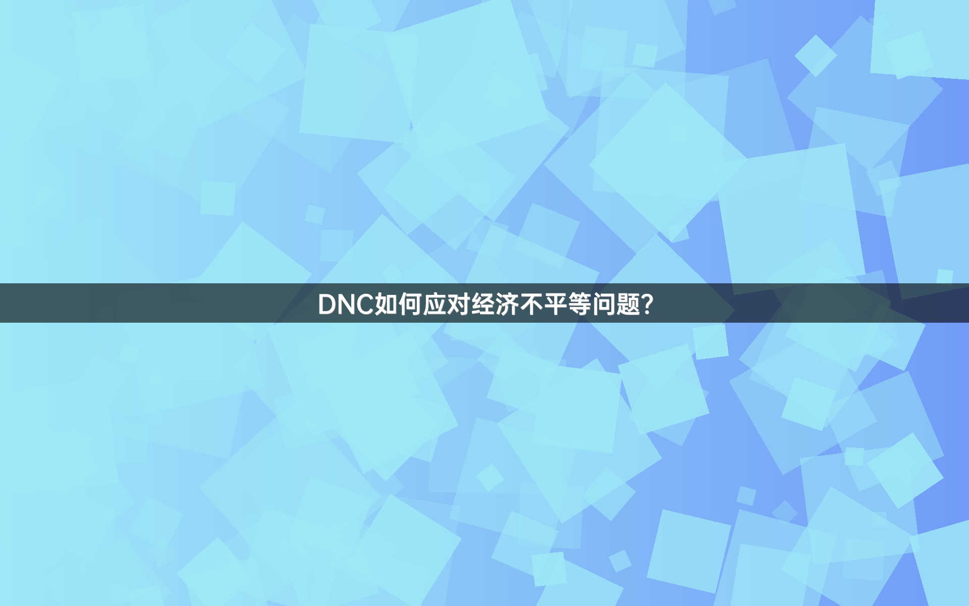DNC如何应对经济不平等问题？