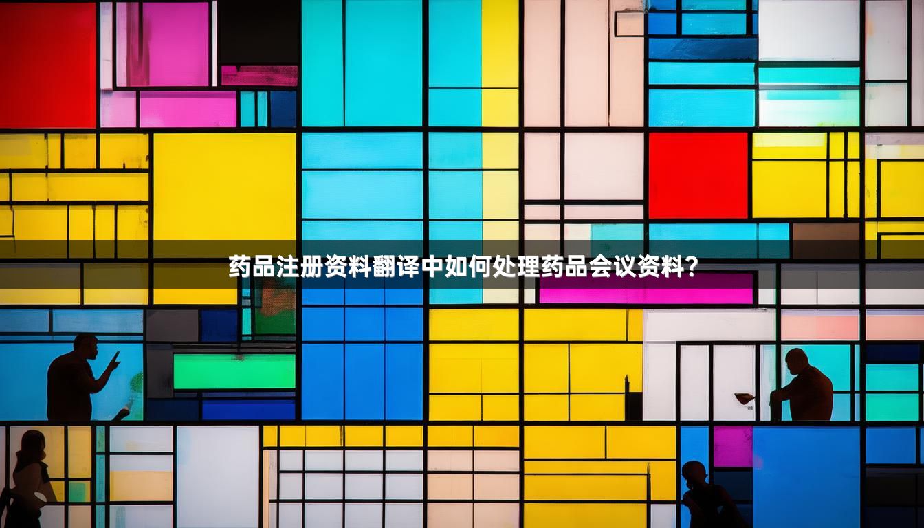 药品注册资料翻译中如何处理药品会议资料？