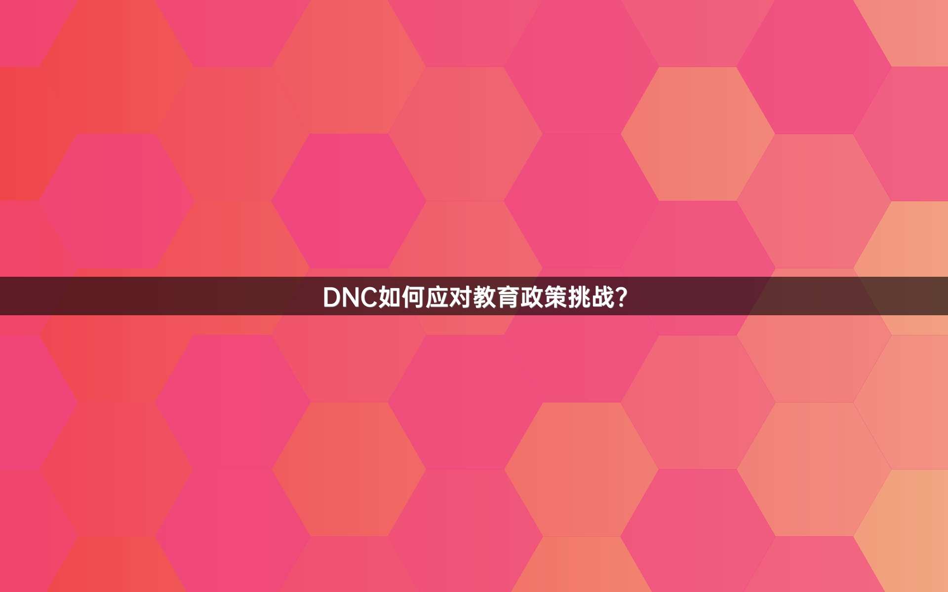 DNC如何应对教育政策挑战？