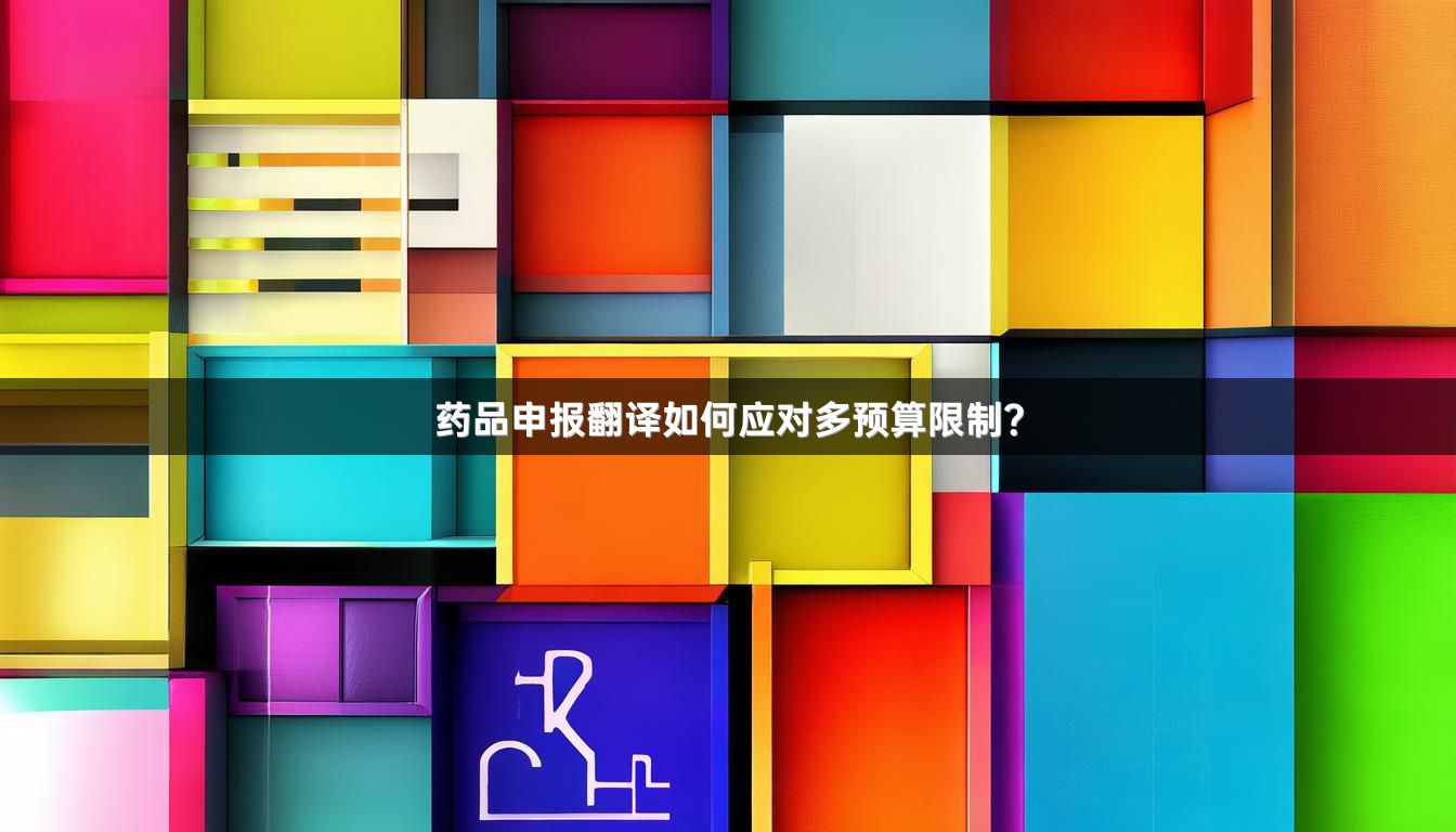 药品申报翻译如何应对多预算限制？