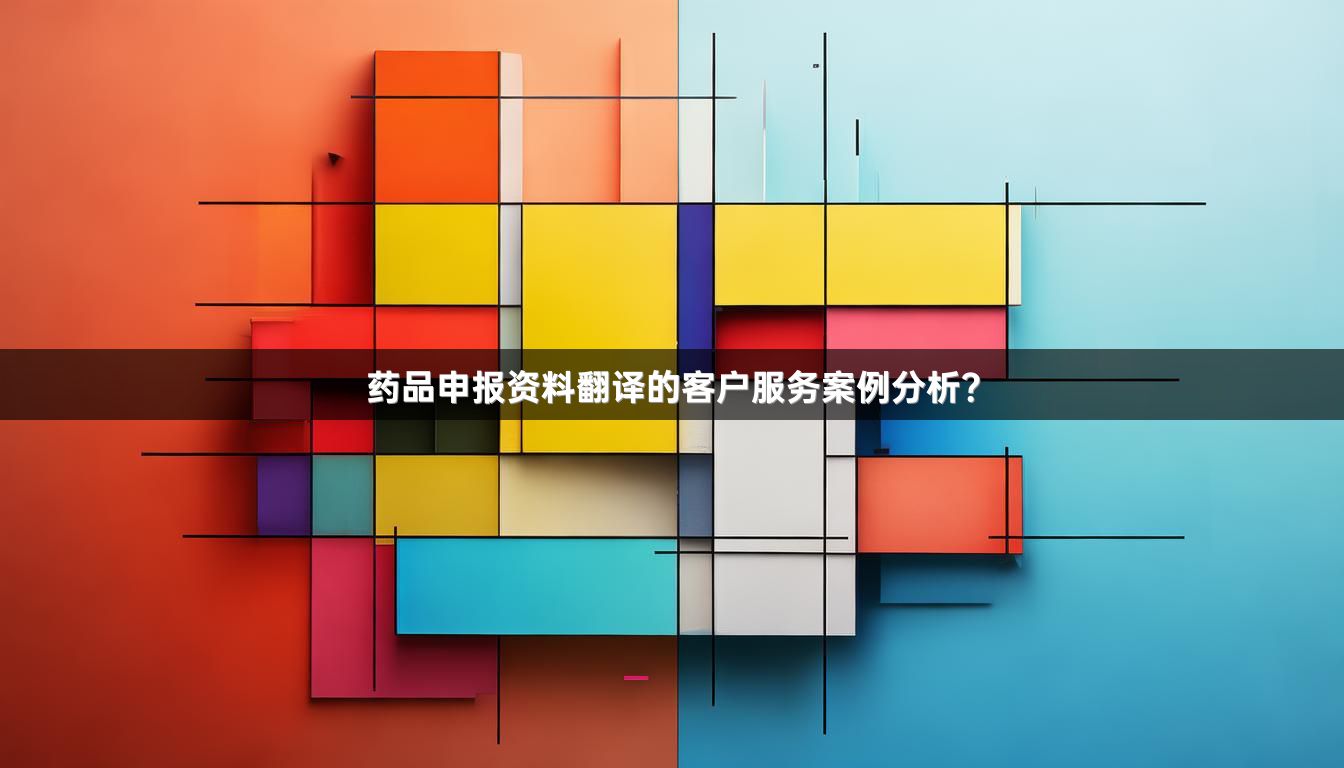 药品申报资料翻译的客户服务案例分析？