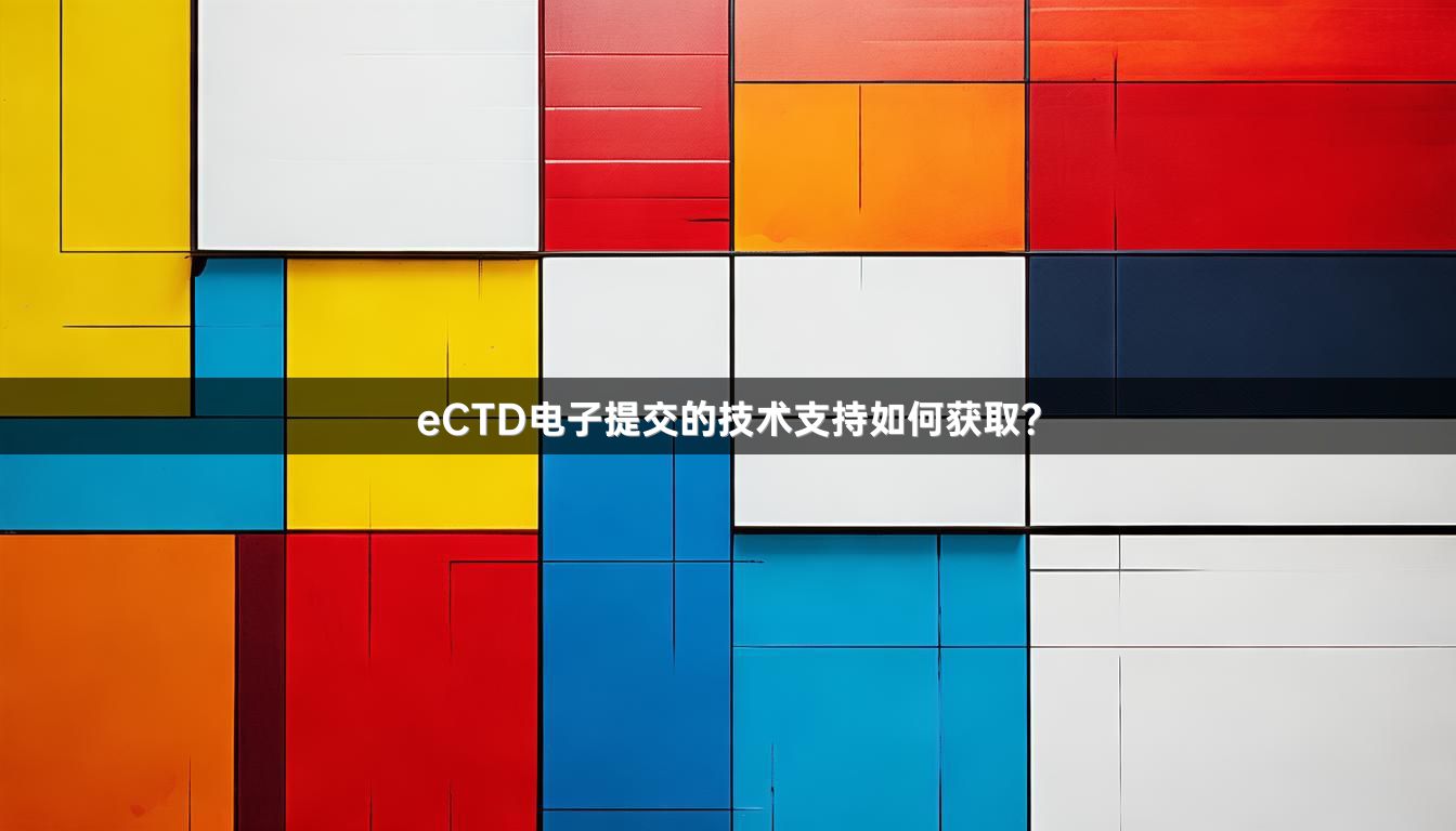 eCTD电子提交的技术支持如何获取？
