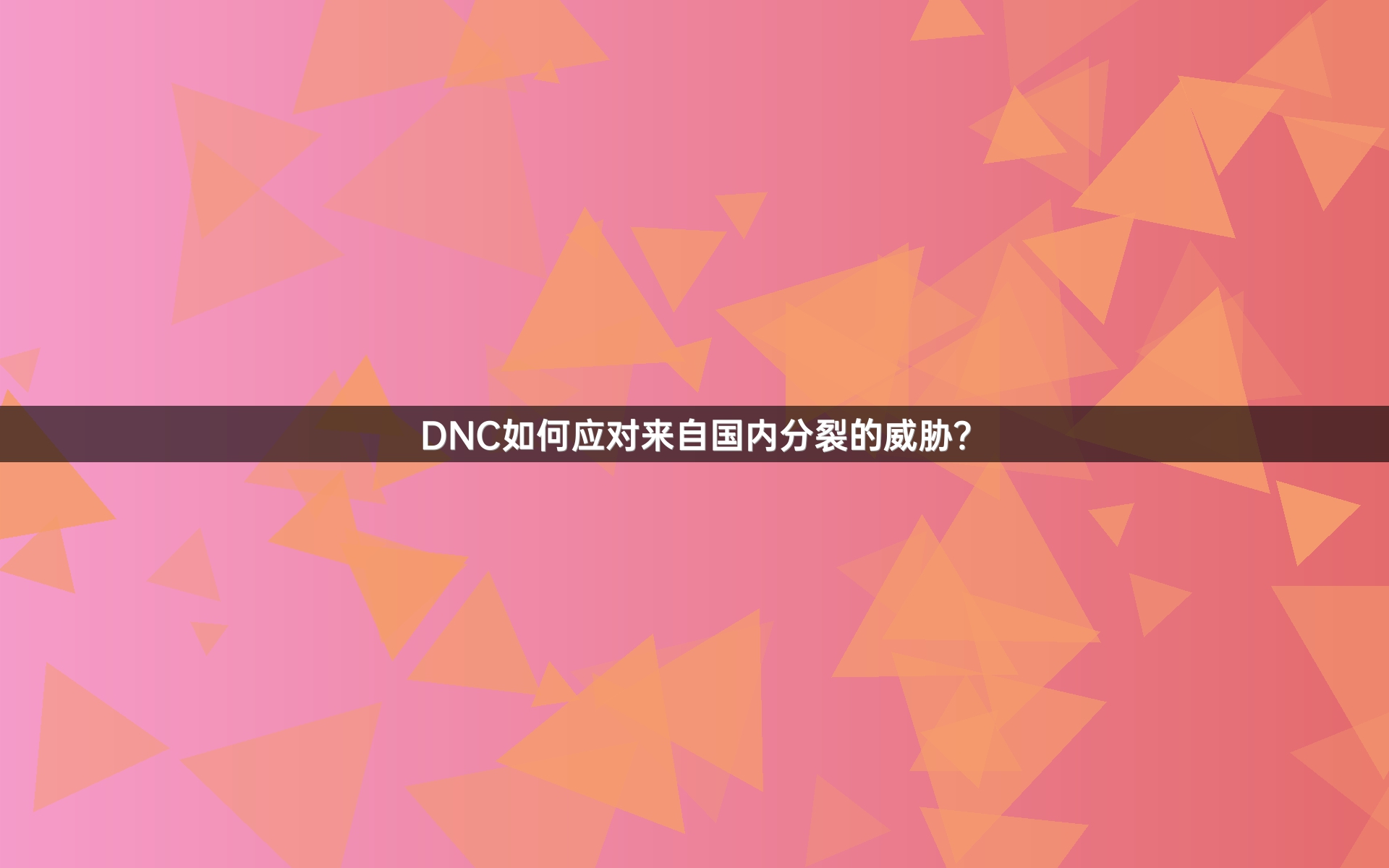 DNC如何应对来自国内分裂的威胁？
