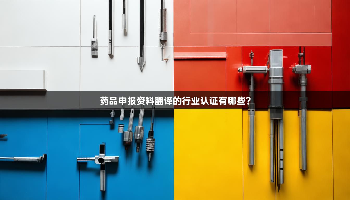药品申报资料翻译的行业认证有哪些？_1