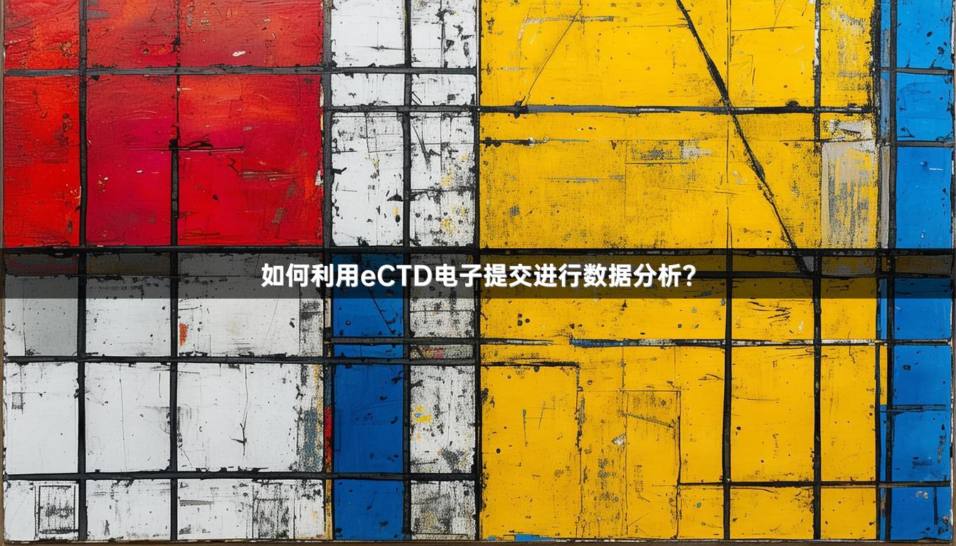 如何利用eCTD电子提交进行数据分析？