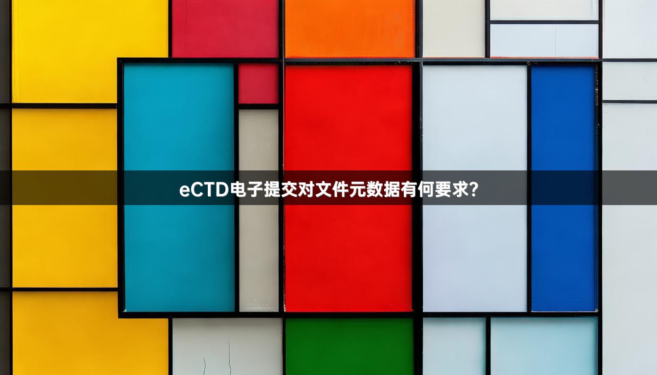 eCTD电子提交对文件元数据有何要求？