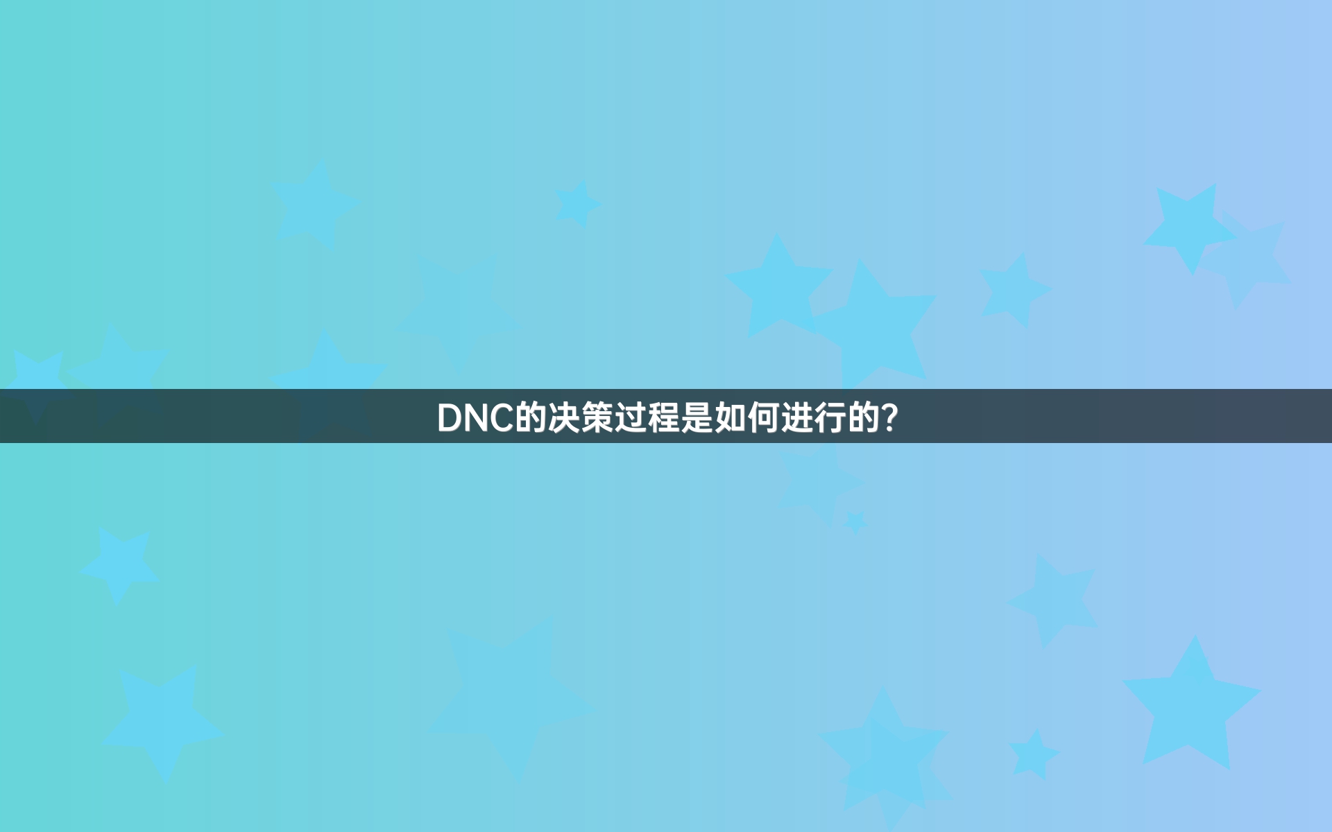 DNC的决策过程是如何进行的？